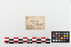 Etiketten zu Knochenwirbel (NHMW-PRAE-023687a)